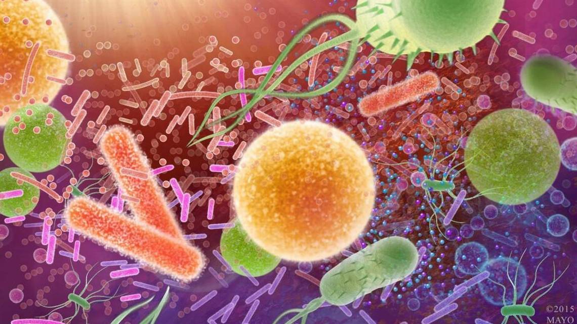 Duke Doctor Superbugs Are The Next Pandemic What The US Must Do To 